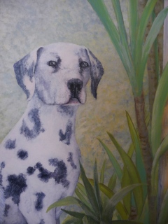 LE DALMATIEN - Tableaux