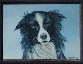 BORDER COLLIE - Tableaux